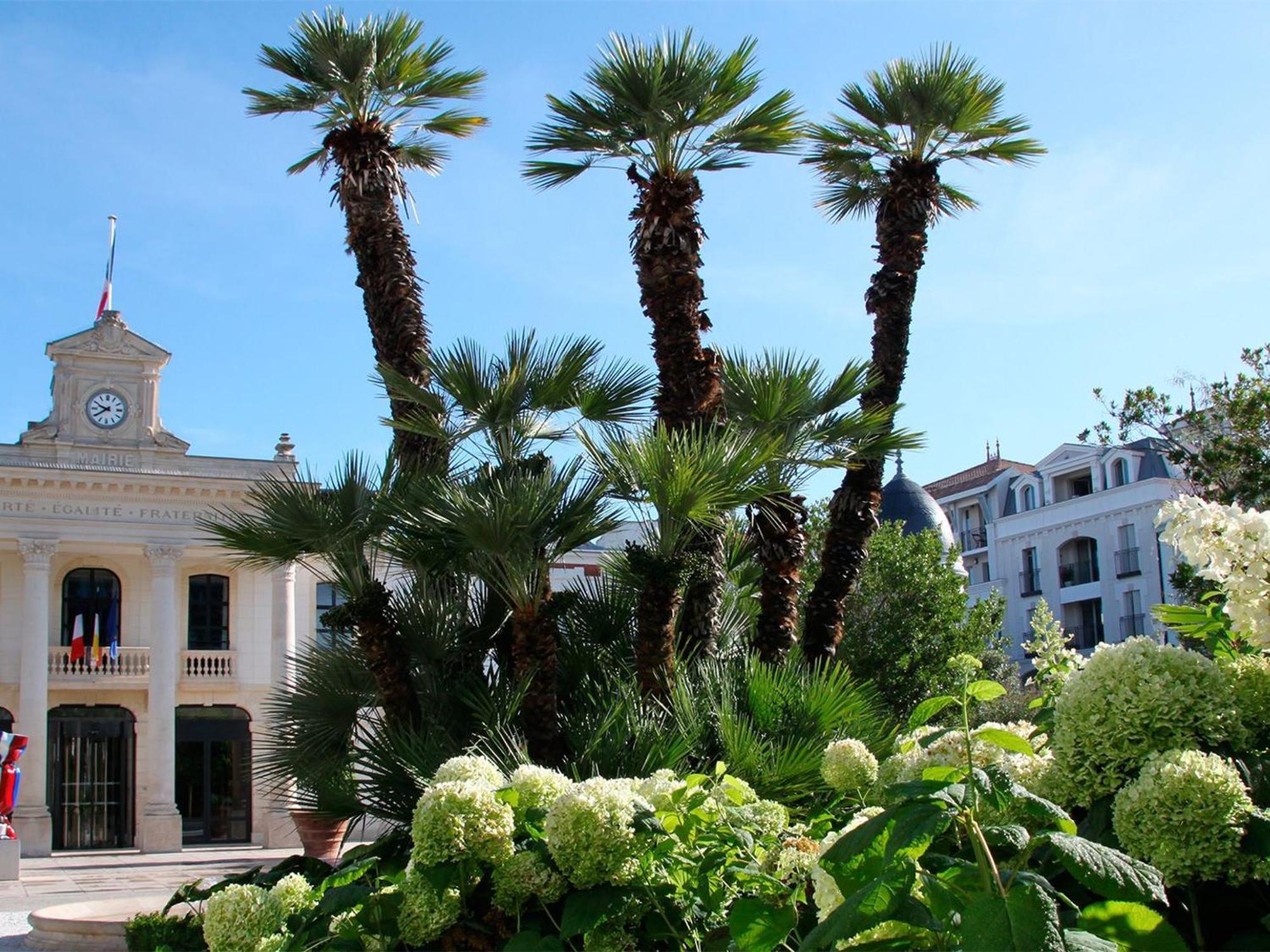 Apartment Proche & Casino Avec Balcon Et Parking Prive, - Fr-1-319-110 *